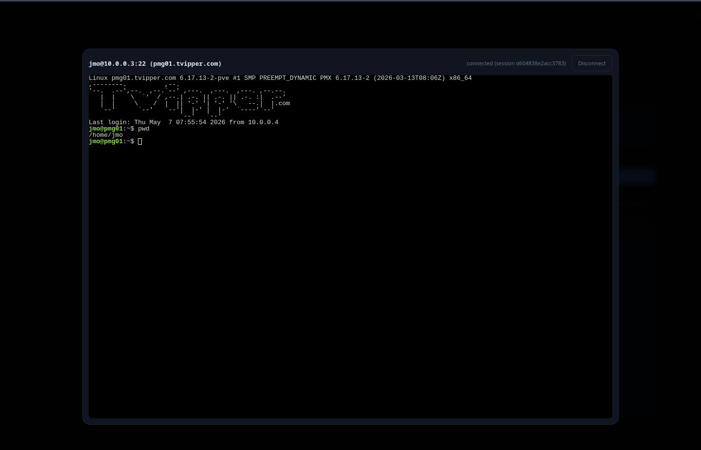 Browser terminal