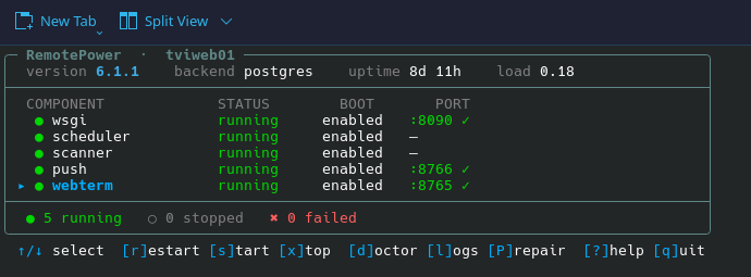 rp tui command-line dashboard